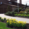 Daniels Landscaping PA