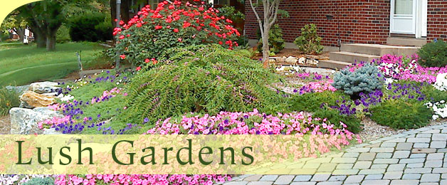 Daniels Landscaping Lehigh Valley Pennsylvania Plantings