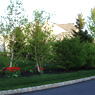 Daniels Landscaping PA